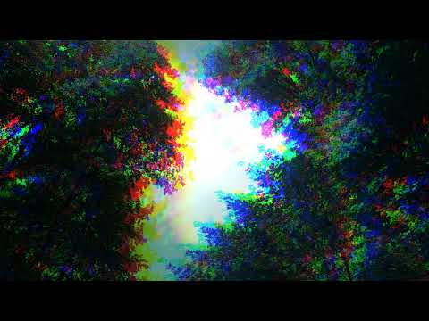 OhmikRon & TapeAir A Magyar Kultúra Napja 2022