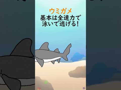 海面温度について詳しく解説