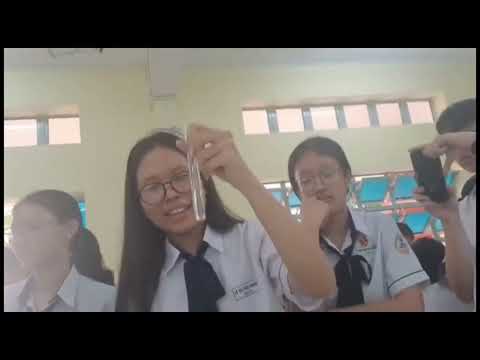 Nhóm ghép 4 Sinh học 10