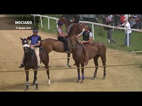 Corse a pelo Mociano 7 giugno 2019
