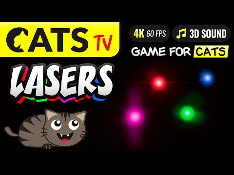 CAT TV - Best real laser pointer 🔴 for cats to play 😻 4K - 60FPS 🙀