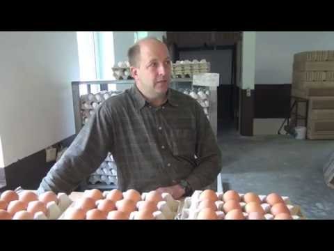 Cumbasil® Mite Betrieb Ostermann