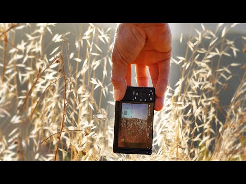Why I bought the SONY ZV-1. 960fps SLOWMO.