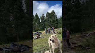 In Epuyen, at Shanti's place