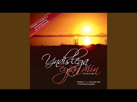 Lífið er yndislegt (Live)