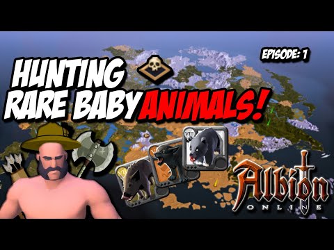 Project Rare Animal Hunt | Albion Online | Adventure Episode 1: Adept's Fawn