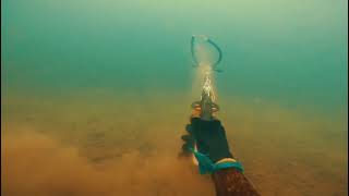 PRIMEIRA PESCA SUB DE 2021 🐟