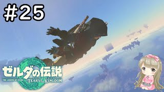 【女性実況】#25 ゼルダの伝説 ティアーズ オブ ザ キングダムで癒される【ティアキン/鳥望台】