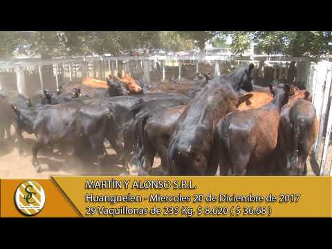 20-12-17 Venta de Hembras - Martin y Alonso S.R.L. - Huanguelen.