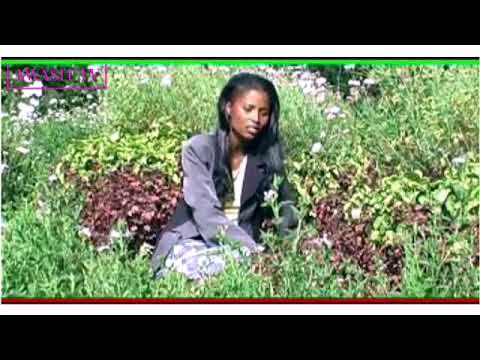 Sirboota babareedo fi dhageetti gurraaf namati tolu! Dirribee Gadaa! New Afaan Oromoo music 🥰