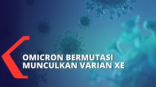 Download lagu Ditemukan Mutasi Omicron Varian XE, Lonjakan Kasus Akan Terjadi? mp3