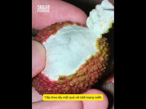 Cách ăn thanh mai sao cho SANG | Kênh Này Ngon Phết