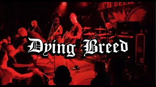 Dying Breed - El Nostre Torn