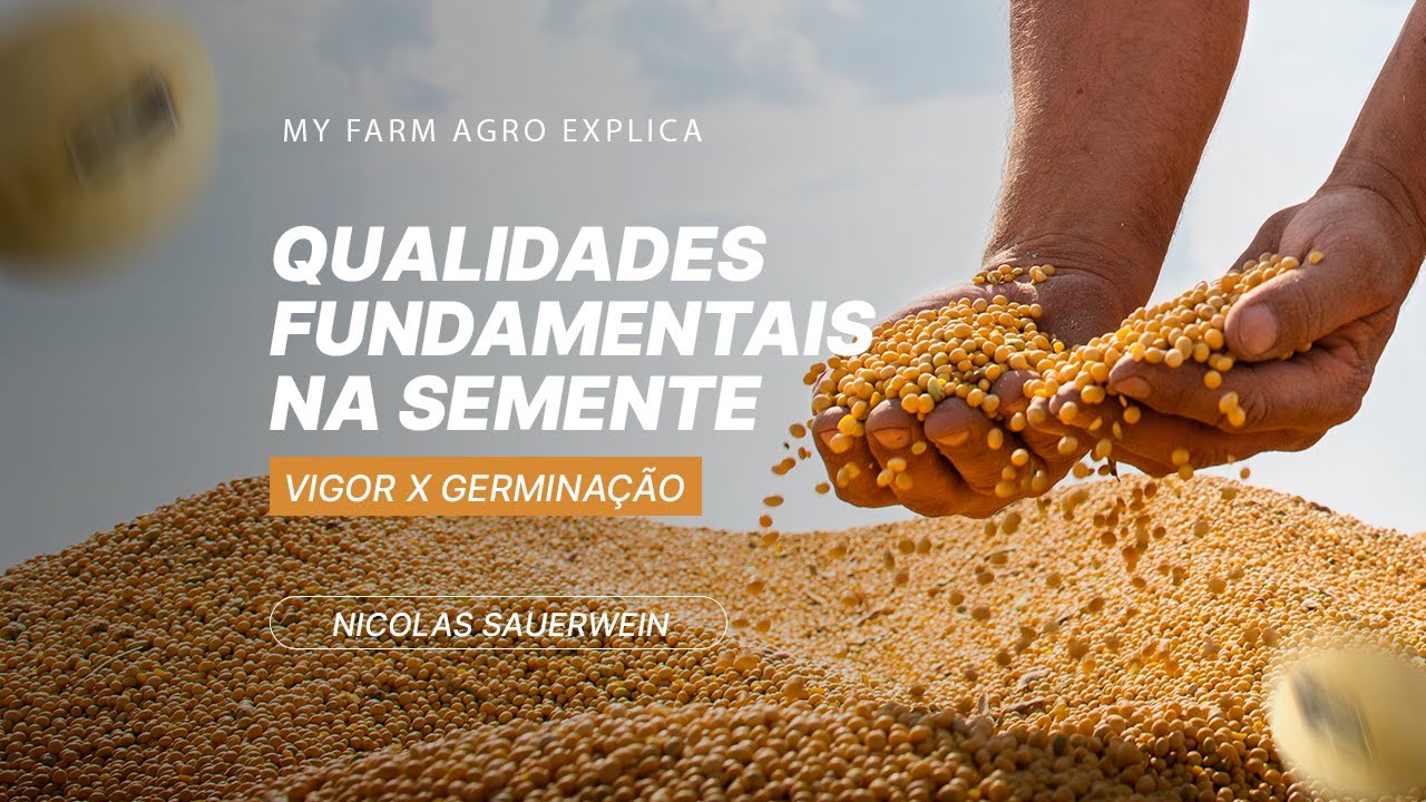 SOJA - TUDO SOBRE A QUALIDADE DE SEMENTES