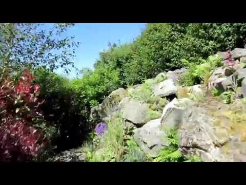 Clew Bay Garden Trail 2015: Sarah Churcher