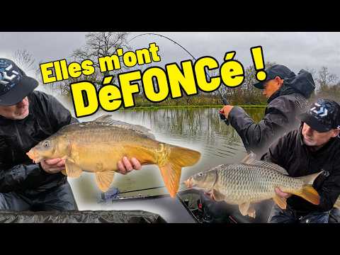 WILD CARP in the Canal! My CRAZIEST Method Feeder Session!