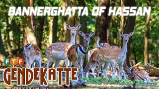 preview picture of video 'Gendekatte Forest Deer Park Hassan Karnataka - A Hidden Summer Retreat'