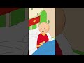 Caillou S Rash