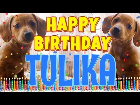 Happy Birthday Tulika! ( Funny Talking Dogs ) What Is Free On My Birthday