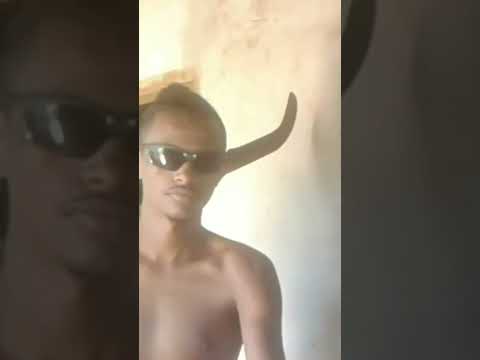 Muito prazer eu sou o FERINHA