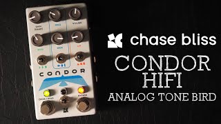 Chase Bliss Audio Condor HiFi - What To Know & Where To Buy