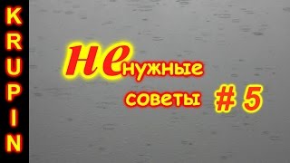 Ссылка