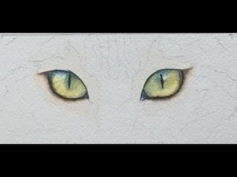 How to Paint Cat Eyes in Watercolor
