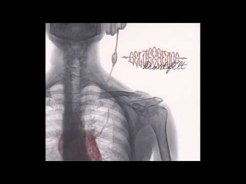 Belligerence - Illusion