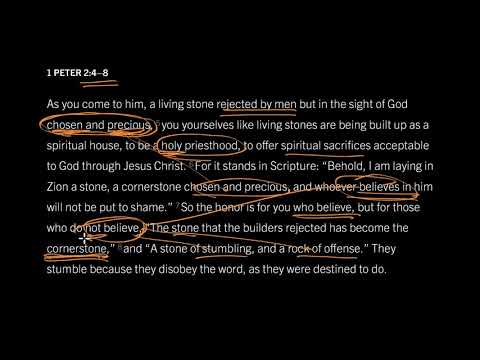 God Treasures You, But Not Because of You: 1 Peter 2:9–10, Part 1