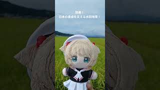 手作りのぬいちゃんと大曲花火大会に行ってきましたっ☆