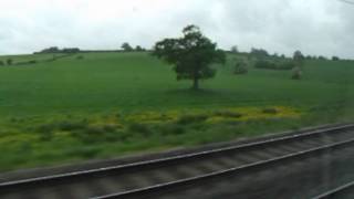 Search among the flowers (Robin Guthrie cover)