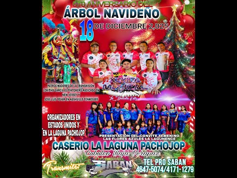 CASERÍO LA LAGUNA PACHOJOP CUBULCO BAJA VERAPAZ.EN EL 5TO ANIVERSARIO DEL ÁRBOL 🌲 NAVIDEÑO.