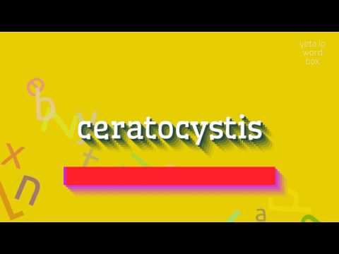 HOW TO PRONOUNCE CERATOCYSTIS?