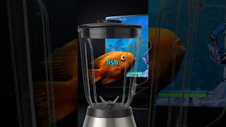 I Taught a Fish to Play Fortnite.