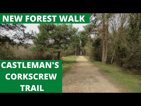 NEW FOREST WALK  :  CASTLEMAN'S CORKSCREW DISUSED RAILWAY LINE (NEW FOREST NATIONAL PARK)