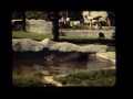 1940s Detroit Zoo Home Movies In Color Part 1 Of 3