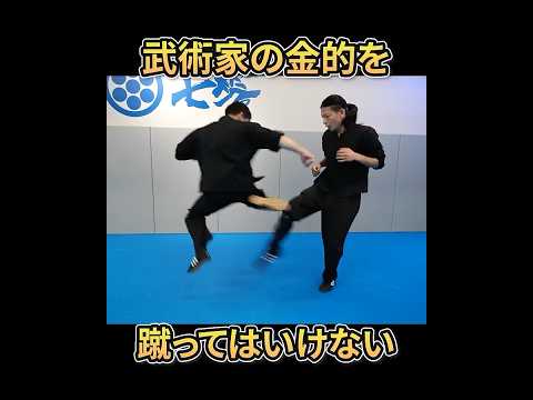 武術家の金的を蹴るととんでもないことになってしまう　 #ワンインチチャンネル #石井東吾