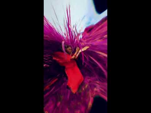 Shanti People - Bhavani Dayani (Psycrain Remix) Psy Video