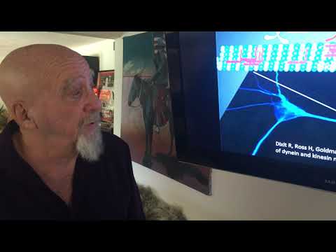 Stuart Hameroff lecture SPARC project ORch-OR conference