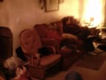 My Thanksgiving 2010