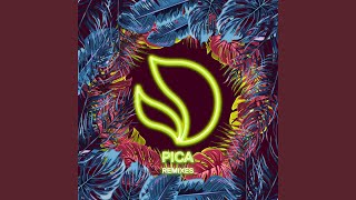 Pica (Cat Dealers Remix)