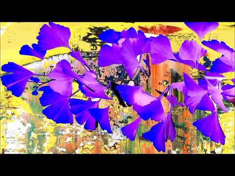 Diana Rotaru (*1981): Clarinet concerto "De simplici duplex II" (2005)