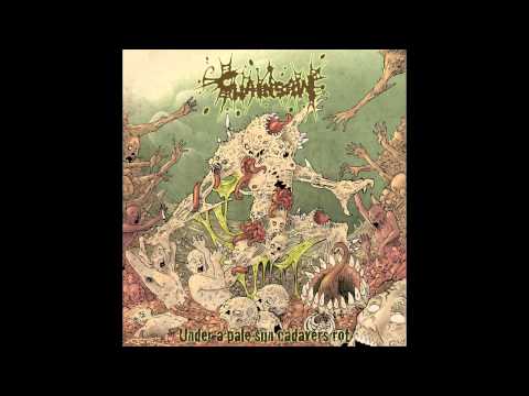 Chainsaw - Psychotic surgery new song