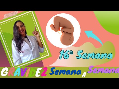 16 Semanas de Gravidez/ Sintomas da mamãe e desenvolvimento do bebê