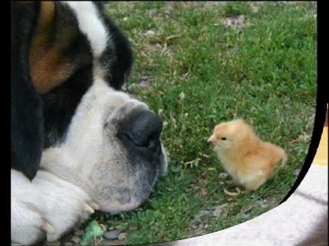 King Harvest - Take It Easy