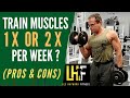 Train Each Muscle Once or Twice Per Week - Does It Really Matter?