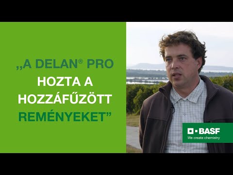 Delan® Pro tapasztalatok - Tóth Dániel