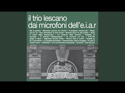 Un'ora sola ti vorrei