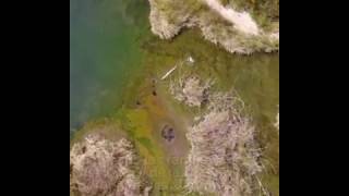 Ciénega de Casal, entre los viejos recuerdos y el olvido