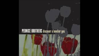 Pernice Brothers - There Goes The Sun